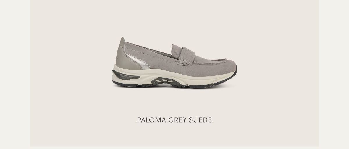 Paloma Grey Suede