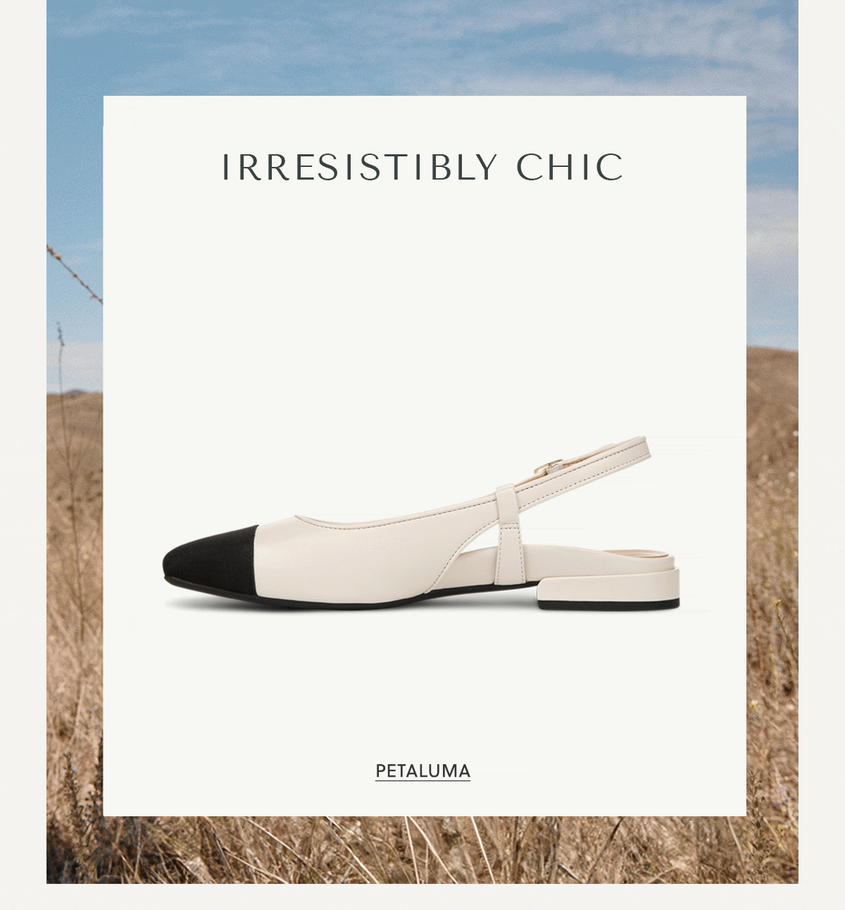 IRRESISTIBLY CHIC - Shop Petaluma