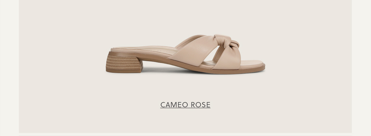 SHOP MABEL - CAMEO ROSE